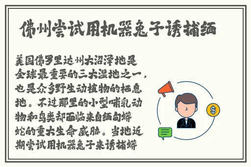 我的第一次给狗狗